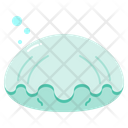 Clam Shell Animal Icon
