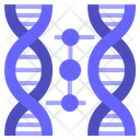 Cloning Dna Icon