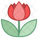 Close Up Icon