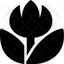 Close Up Icon