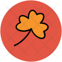 Clover Leaf Nature Icon