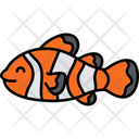 Clown Fish Anemonefish Ocellaris Icon