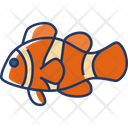 Clownfish Animal Fish Icon