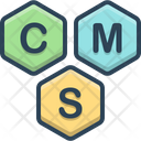 Cms Content Management Icon