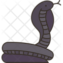 Cobra Snake Poison Icon
