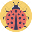 Coccinellidae Ladybug Ladybird Icon