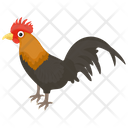 Cock Pet Animal Feather Creature Icon