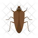 Cockroach Animal Wildlife Icon
