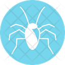 Cockroach Icon
