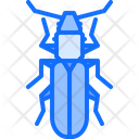 Cockroach Beetle Bug Icon