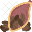 Cocoa Bean Icon