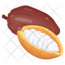 Cocoa Seeds Icon