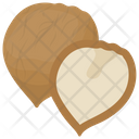 Coconut Tropical Fruit Raw Coconut Icon