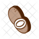 Coconut Nut Food Icon