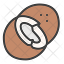 Coconut Palm Tropical Icon