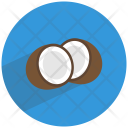 Coconut Seed Shell Icon