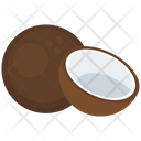 Coconut Fruit Vector Icon
