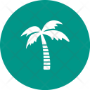 Coconut Tree Icon