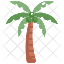Coconut Tree Nature Icon