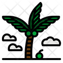 Coconut Tree Beach Icon
