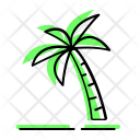 Coconut Tree Palm Icon