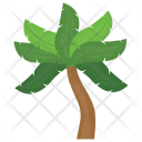 Coconut Tree Icon