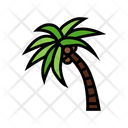 Coconut Tree Palm Tree Palm Icon
