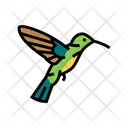 Colibri Bird Animal Icon