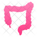 Colon  Icon