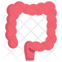 Colon  Icon