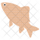 Common Fish Icon