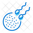 Conception Icon
