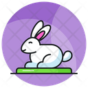 Conejo Icono