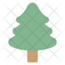 Conifer Evergreen Pine Icon