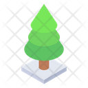 Conifer Evergreen Pine Tree Icon