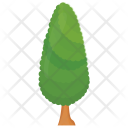 Coniferous Tree  Icon