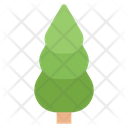Coniferous Tree  Icon