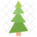 Coniferous Tree  Icon