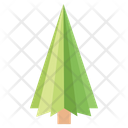 Coniferous Tree  Icon