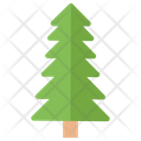 Coniferous Tree  Icon