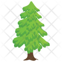 Poplar Fir Pine Icon