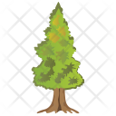 Coniferous Tree  Icon