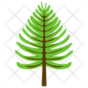 Coniferous Tree  Icon