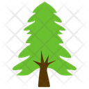 Tree Fir Pine Icon