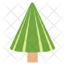 Poplar Tree Fir Tree Pine Tree Icon