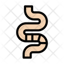 Contour  Icon