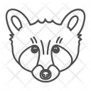 Coon Raccoon Face Icon