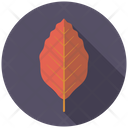 Red Copper Beech Tree Icon