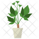 Indoor Plant Ornamental Plant Houseplant Decoration Icon