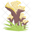 Coral Cactus Icon